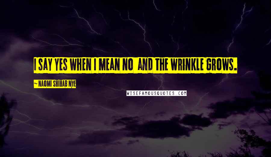 Naomi Shihab Nye Quotes: I say yes when I mean no  and the wrinkle grows.