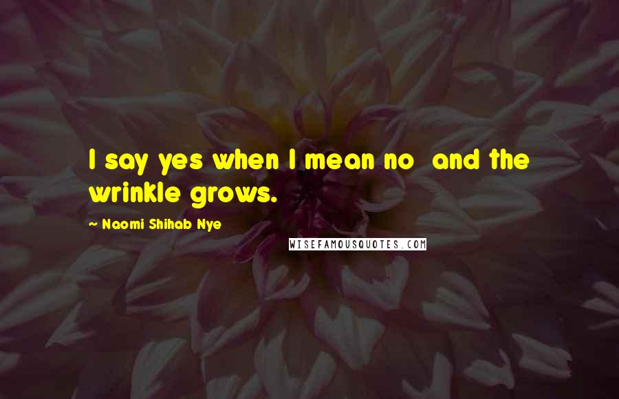 Naomi Shihab Nye Quotes: I say yes when I mean no and the wrinkle grows.