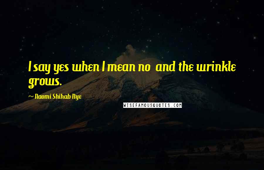 Naomi Shihab Nye Quotes: I say yes when I mean no and the wrinkle grows.