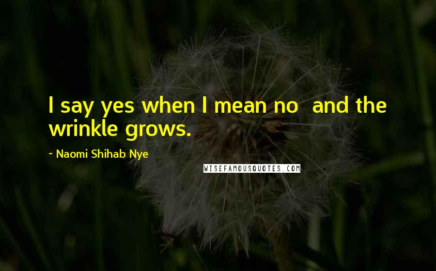 Naomi Shihab Nye Quotes: I say yes when I mean no and the wrinkle grows.