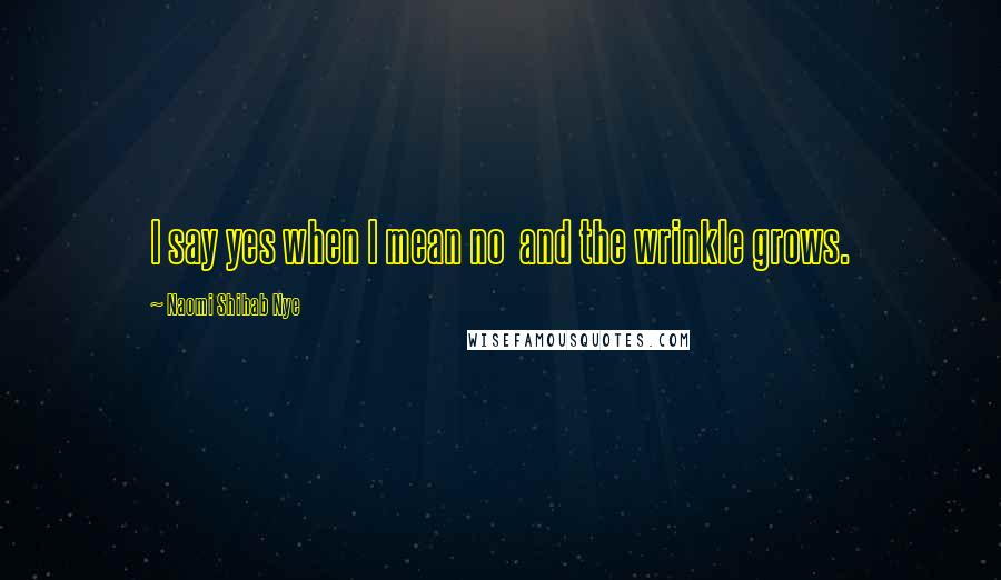 Naomi Shihab Nye Quotes: I say yes when I mean no and the wrinkle grows.