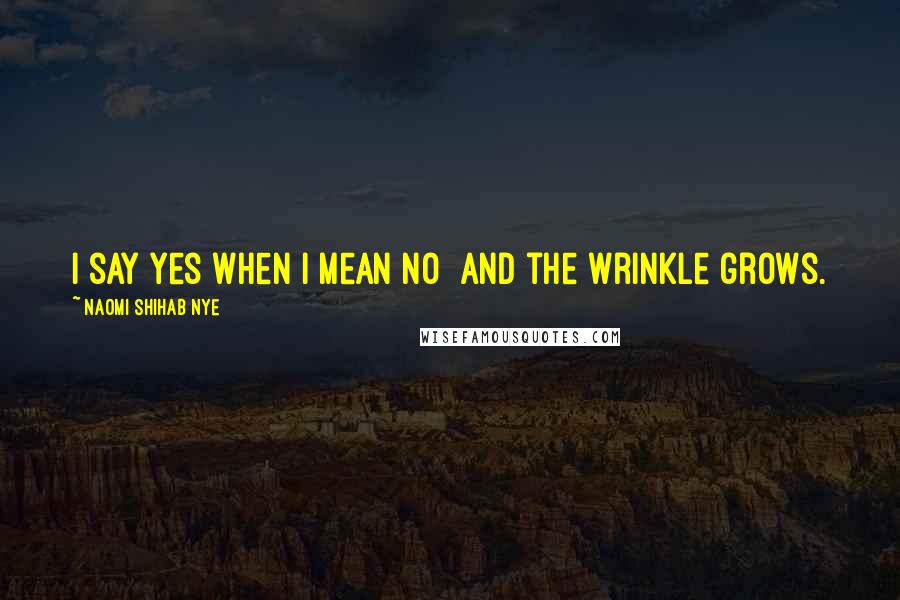 Naomi Shihab Nye Quotes: I say yes when I mean no and the wrinkle grows.