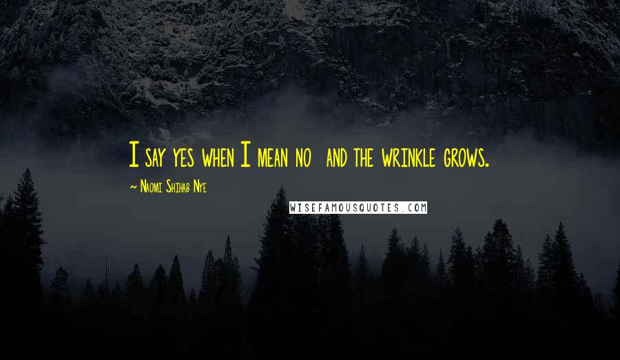 Naomi Shihab Nye Quotes: I say yes when I mean no and the wrinkle grows.