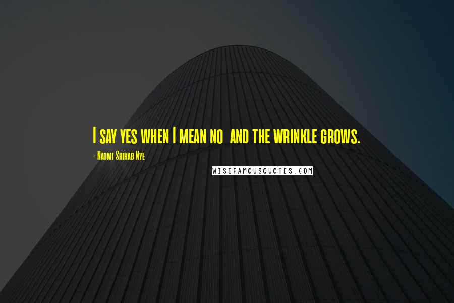 Naomi Shihab Nye Quotes: I say yes when I mean no and the wrinkle grows.