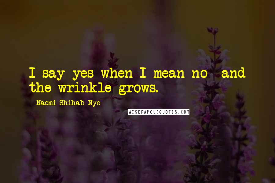 Naomi Shihab Nye Quotes: I say yes when I mean no and the wrinkle grows.