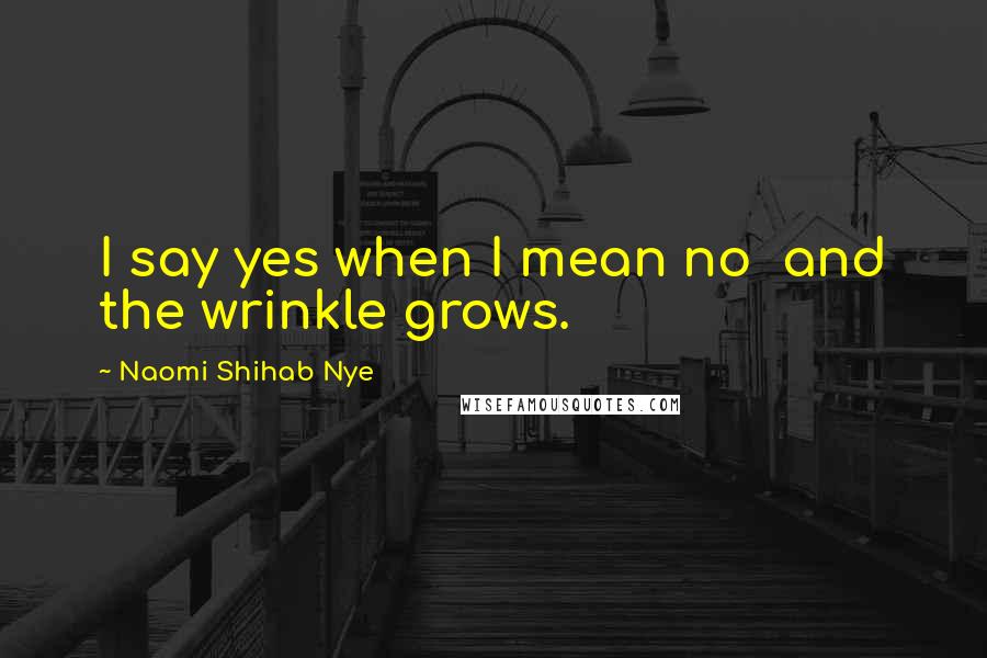 Naomi Shihab Nye Quotes: I say yes when I mean no and the wrinkle grows.