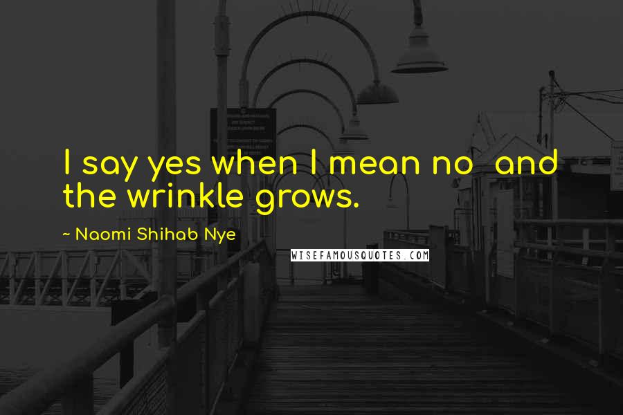 Naomi Shihab Nye Quotes: I say yes when I mean no  and the wrinkle grows.