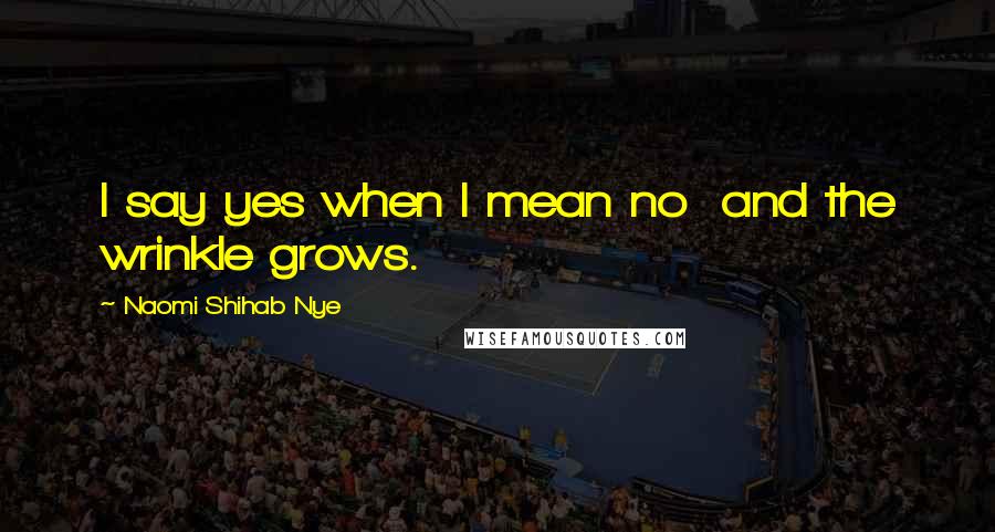 Naomi Shihab Nye Quotes: I say yes when I mean no and the wrinkle grows.