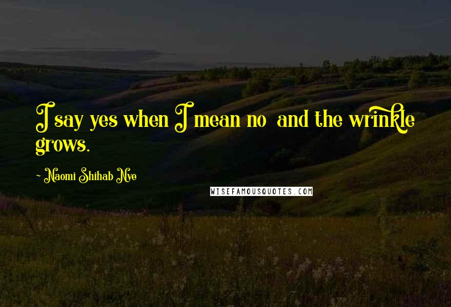 Naomi Shihab Nye Quotes: I say yes when I mean no and the wrinkle grows.
