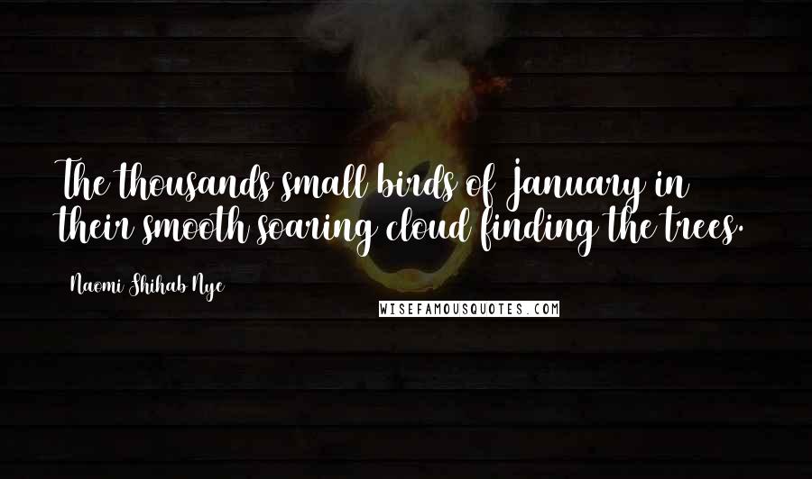 Naomi Shihab Nye Quotes: The thousands small birds of January in their smooth soaring cloud finding the trees.