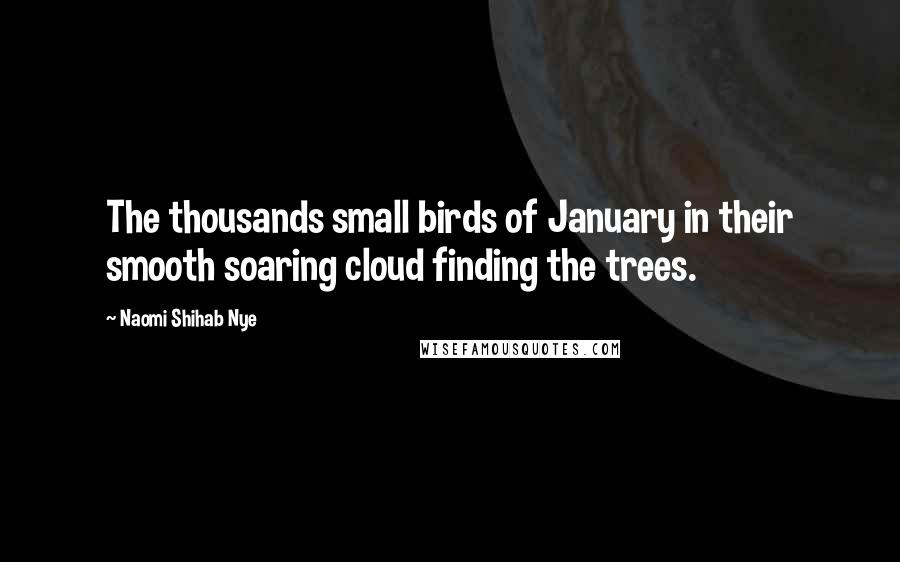 Naomi Shihab Nye Quotes: The thousands small birds of January in their smooth soaring cloud finding the trees.