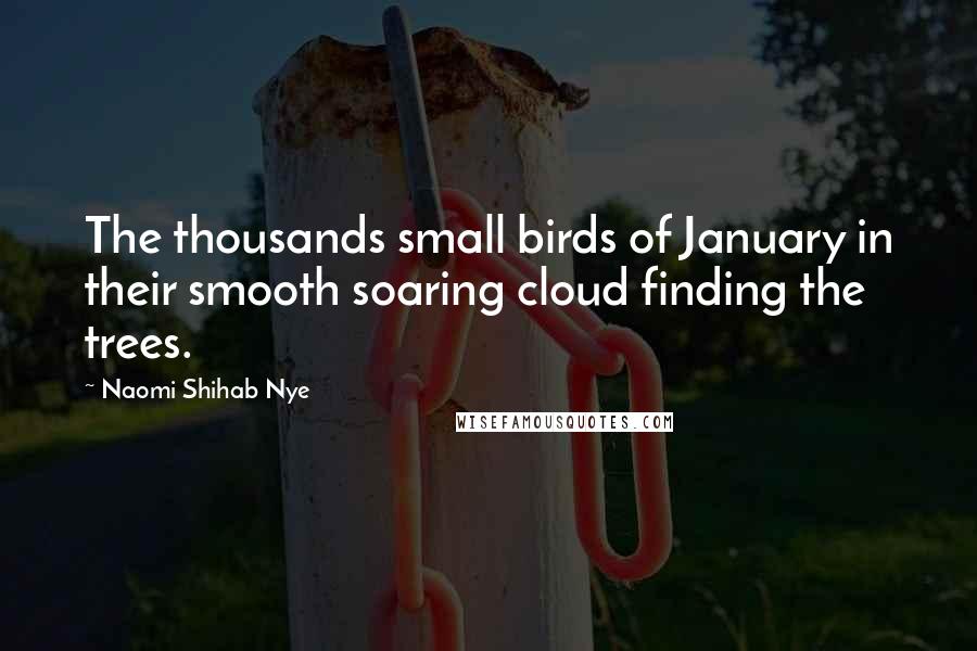 Naomi Shihab Nye Quotes: The thousands small birds of January in their smooth soaring cloud finding the trees.