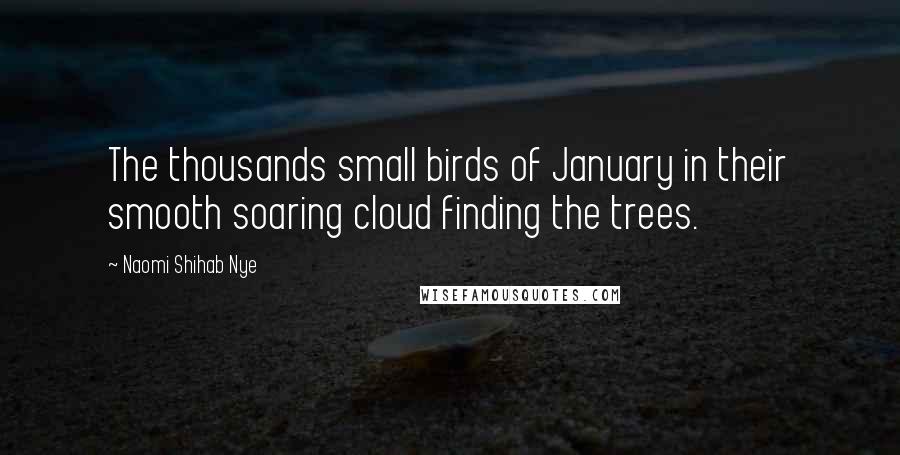 Naomi Shihab Nye Quotes: The thousands small birds of January in their smooth soaring cloud finding the trees.