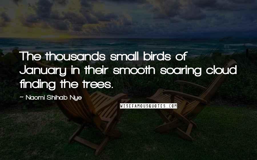Naomi Shihab Nye Quotes: The thousands small birds of January in their smooth soaring cloud finding the trees.