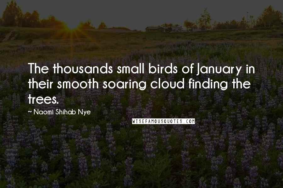 Naomi Shihab Nye Quotes: The thousands small birds of January in their smooth soaring cloud finding the trees.