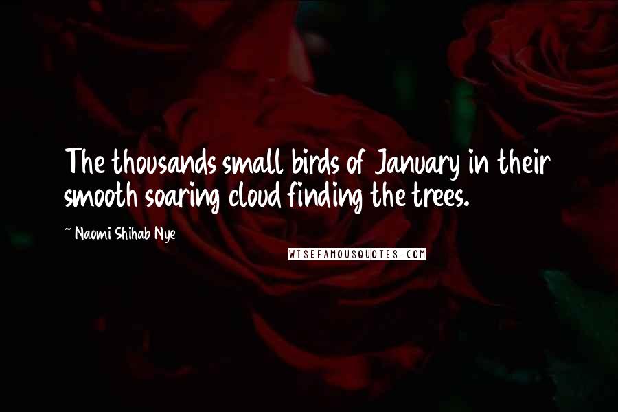 Naomi Shihab Nye Quotes: The thousands small birds of January in their smooth soaring cloud finding the trees.