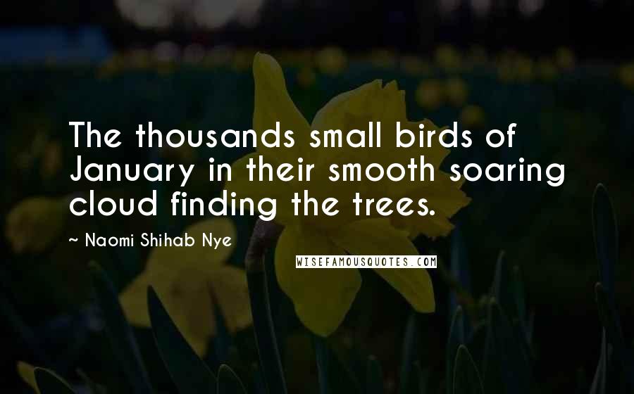 Naomi Shihab Nye Quotes: The thousands small birds of January in their smooth soaring cloud finding the trees.