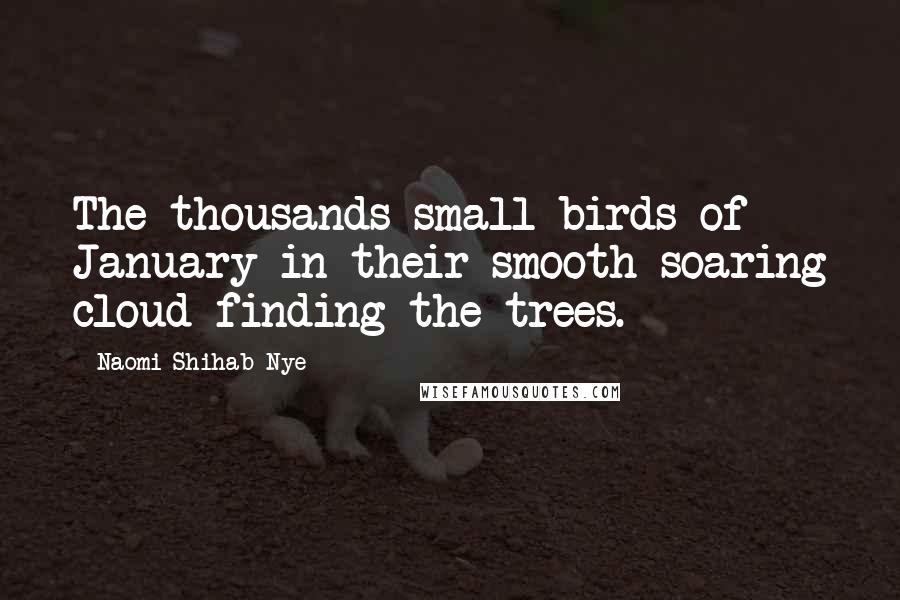 Naomi Shihab Nye Quotes: The thousands small birds of January in their smooth soaring cloud finding the trees.