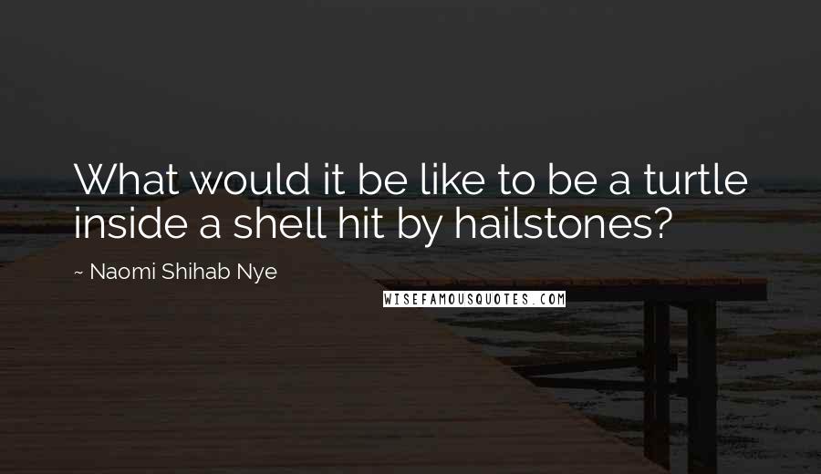 Naomi Shihab Nye Quotes: What would it be like to be a turtle inside a shell hit by hailstones?