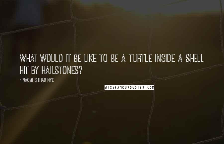 Naomi Shihab Nye Quotes: What would it be like to be a turtle inside a shell hit by hailstones?