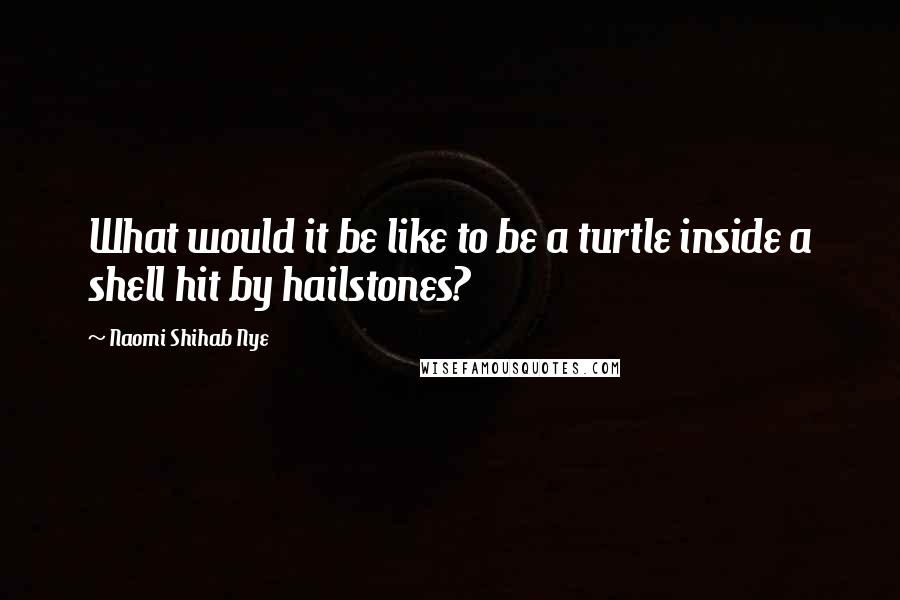 Naomi Shihab Nye Quotes: What would it be like to be a turtle inside a shell hit by hailstones?