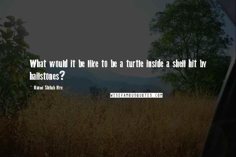 Naomi Shihab Nye Quotes: What would it be like to be a turtle inside a shell hit by hailstones?