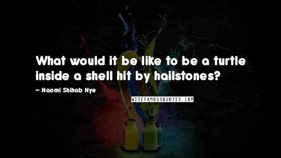 Naomi Shihab Nye Quotes: What would it be like to be a turtle inside a shell hit by hailstones?