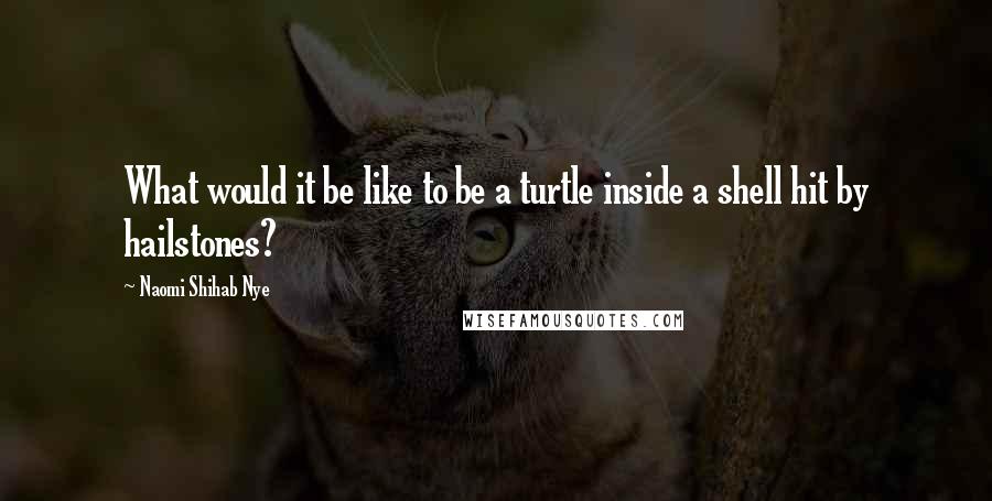 Naomi Shihab Nye Quotes: What would it be like to be a turtle inside a shell hit by hailstones?