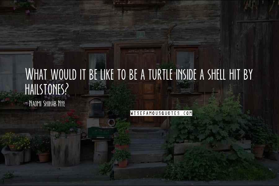 Naomi Shihab Nye Quotes: What would it be like to be a turtle inside a shell hit by hailstones?