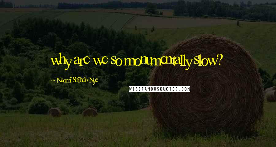 Naomi Shihab Nye Quotes: why are we so monumentally slow?