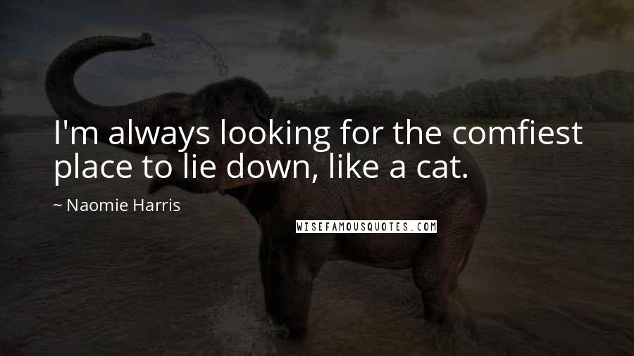 Naomie Harris Quotes: I'm always looking for the comfiest place to lie down, like a cat.