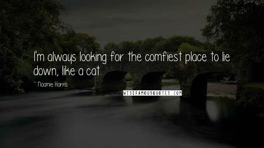 Naomie Harris Quotes: I'm always looking for the comfiest place to lie down, like a cat.