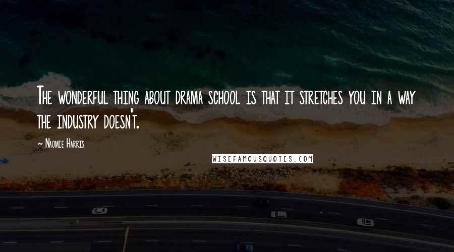 Naomie Harris Quotes: The wonderful thing about drama school is that it stretches you in a way the industry doesn't.