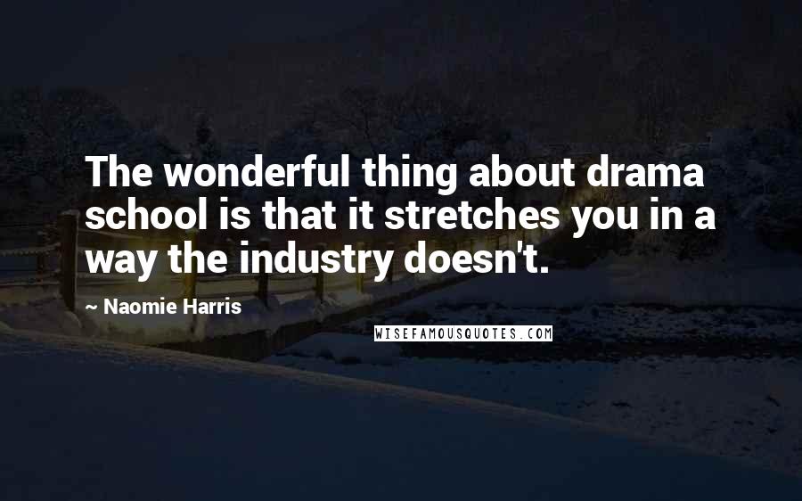 Naomie Harris Quotes: The wonderful thing about drama school is that it stretches you in a way the industry doesn't.