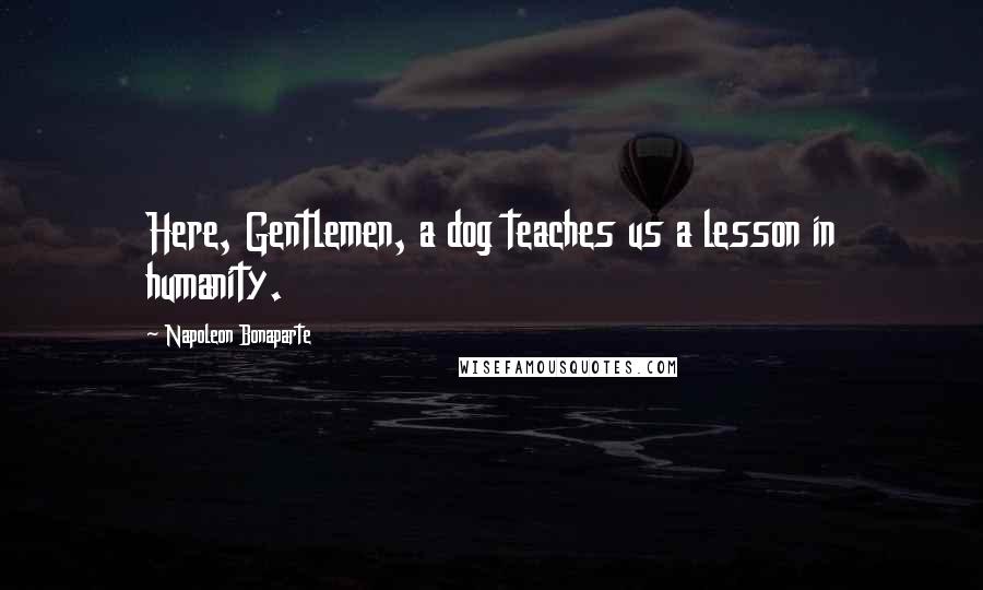 Napoleon Bonaparte Quotes: Here, Gentlemen, a dog teaches us a lesson in humanity.