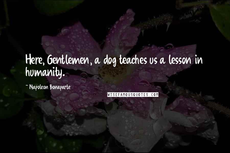 Napoleon Bonaparte Quotes: Here, Gentlemen, a dog teaches us a lesson in humanity.