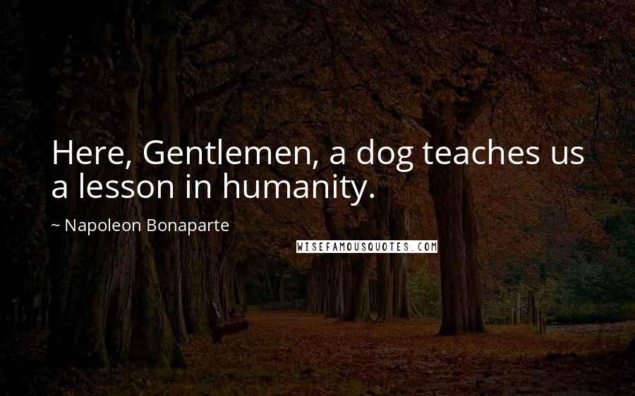 Napoleon Bonaparte Quotes: Here, Gentlemen, a dog teaches us a lesson in humanity.