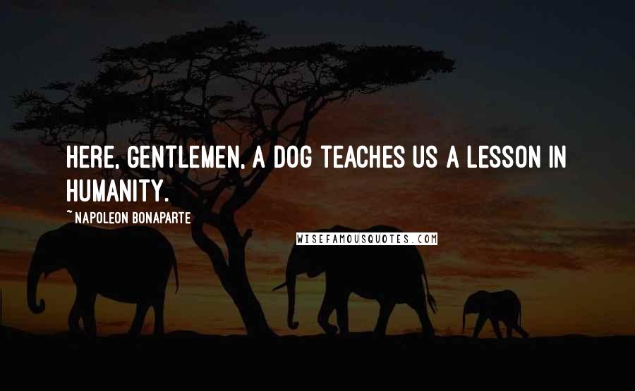 Napoleon Bonaparte Quotes: Here, Gentlemen, a dog teaches us a lesson in humanity.