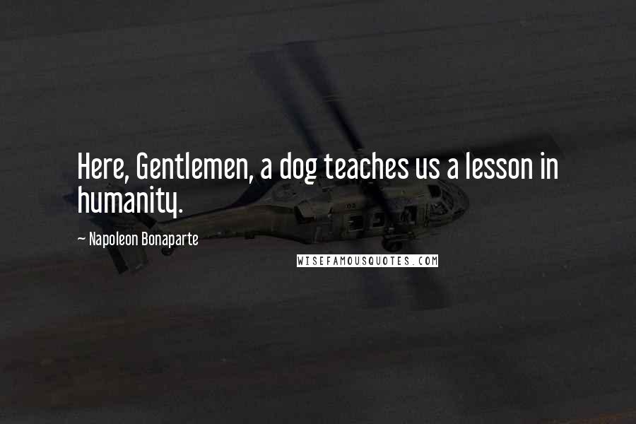 Napoleon Bonaparte Quotes: Here, Gentlemen, a dog teaches us a lesson in humanity.