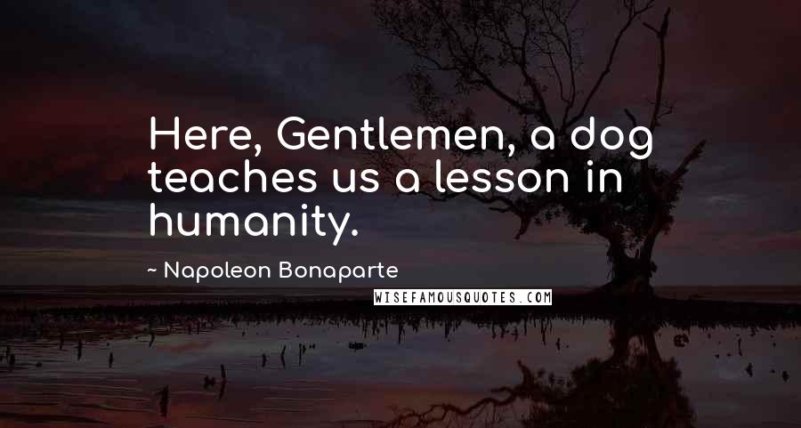 Napoleon Bonaparte Quotes: Here, Gentlemen, a dog teaches us a lesson in humanity.