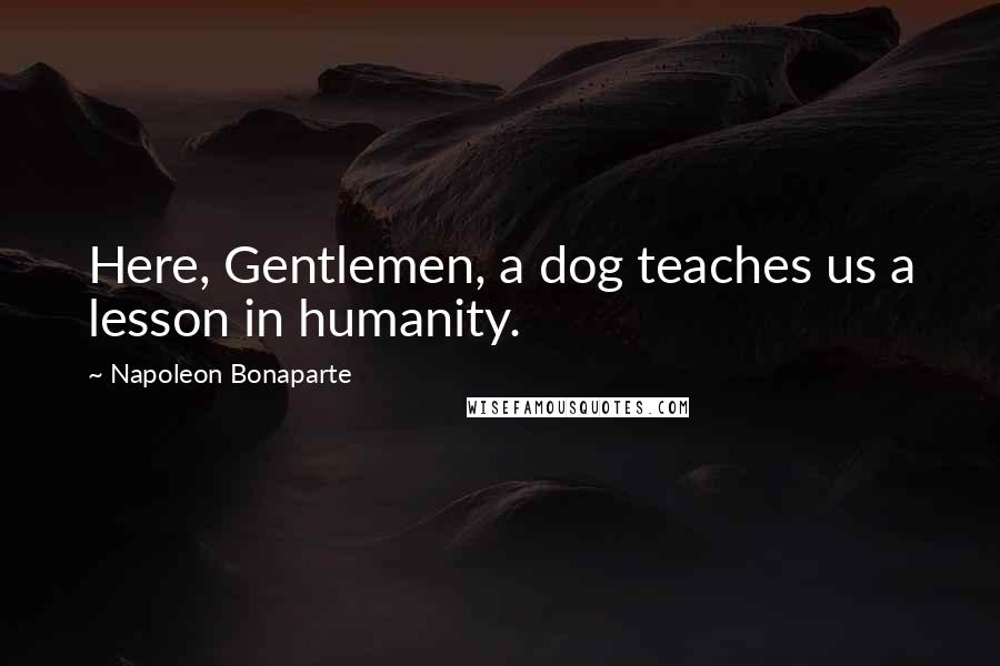 Napoleon Bonaparte Quotes: Here, Gentlemen, a dog teaches us a lesson in humanity.