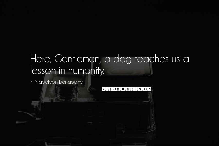 Napoleon Bonaparte Quotes: Here, Gentlemen, a dog teaches us a lesson in humanity.