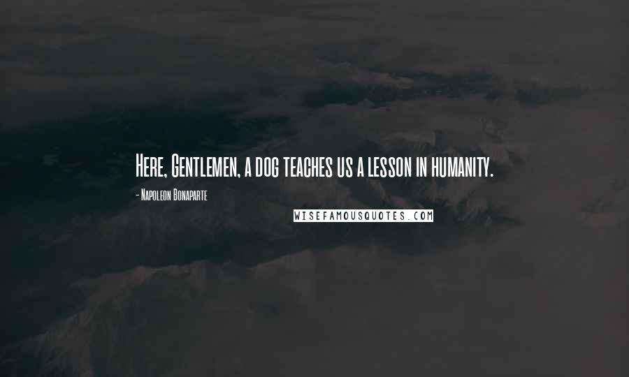 Napoleon Bonaparte Quotes: Here, Gentlemen, a dog teaches us a lesson in humanity.