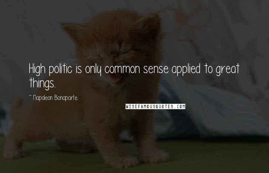 Napoleon Bonaparte Quotes: High politic is only common sense applied to great things.