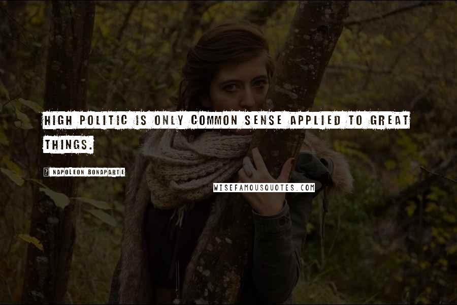 Napoleon Bonaparte Quotes: High politic is only common sense applied to great things.