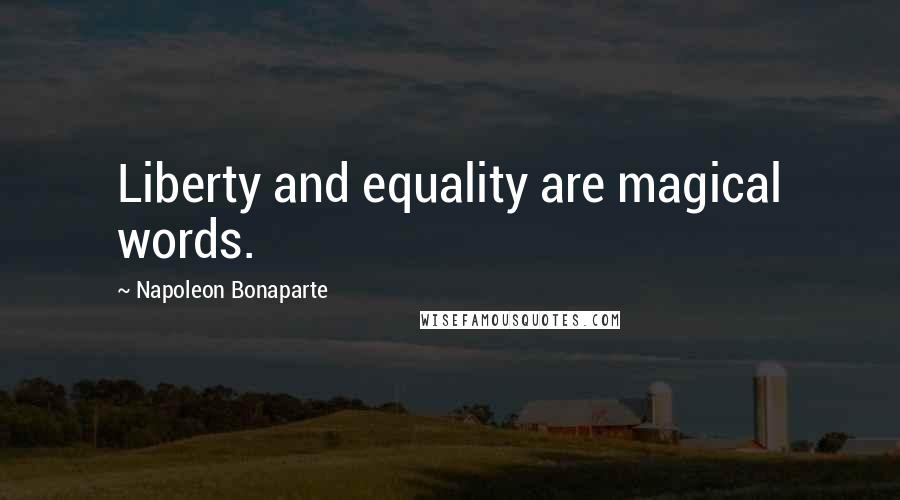 Napoleon Bonaparte Quotes: Liberty and equality are magical words.