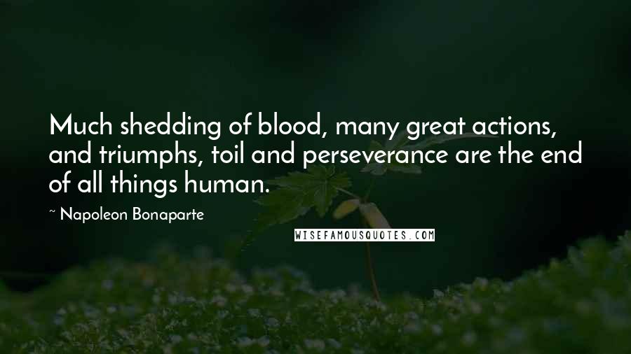 Napoleon Bonaparte Quotes: Much shedding of blood, many great actions, and triumphs, toil and perseverance are the end of all things human.