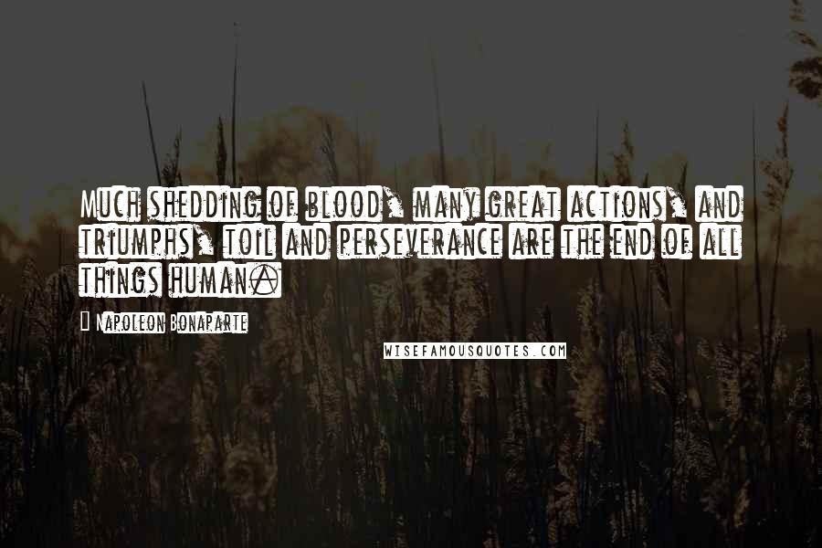Napoleon Bonaparte Quotes: Much shedding of blood, many great actions, and triumphs, toil and perseverance are the end of all things human.