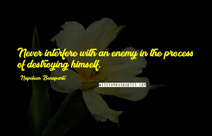 Napoleon Bonaparte Quotes: Never interfere with an enemy in the process of destroying himself.