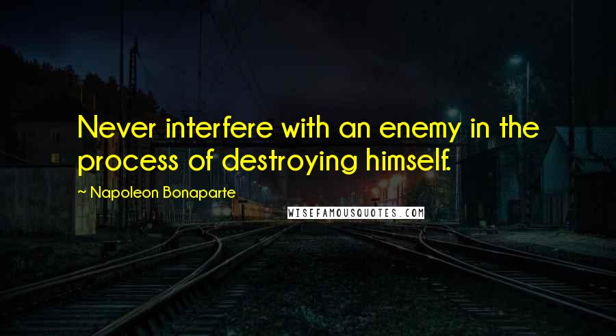 Napoleon Bonaparte Quotes: Never interfere with an enemy in the process of destroying himself.